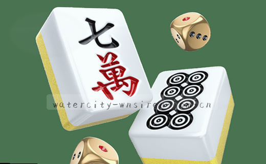 赛事资讯深度观察